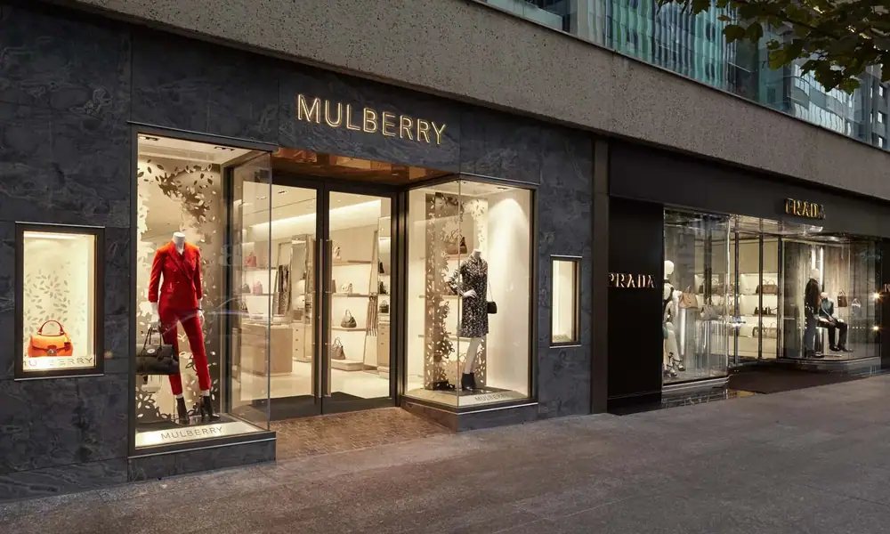 Mulberry — project photograph 5