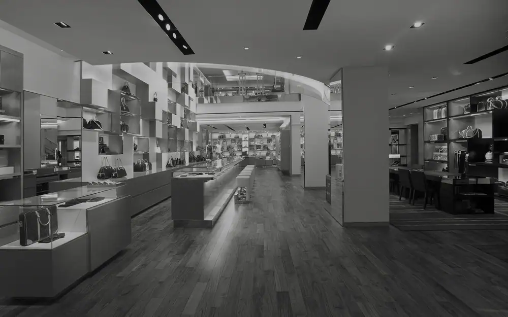 Louis Vuitton project