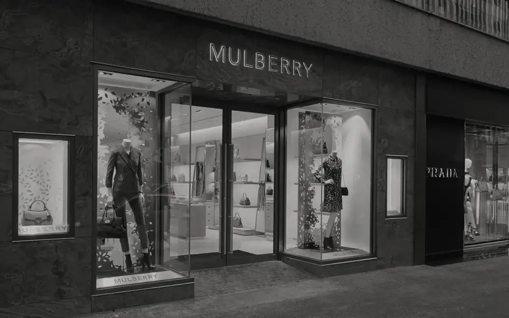 Mulberry project